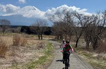Private Full-Day Mt. Fuji Nature E-Bike Tour with Local Guide