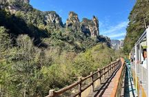 4-5 Days Zhangjiajie Private Tours with Mt. Avatar & Highlights