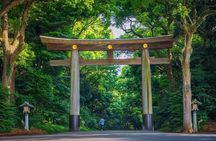 Tokyo Private Sightseeing Tour by Car - English speaking driver