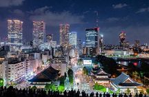 Tokyo Private Sightseeing Tour by Car - English speaking driver