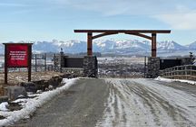 Wolfdog Sanctuary Half Day Tour from Calgary