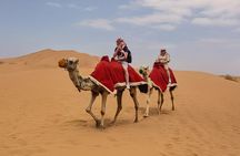 Dubai Evening Safari Explorers with Premium Camp & Camel Riding