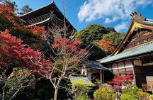 Hiroshima city tour Miyajima & Peace Memorial Park W Small Group