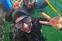 Gansbaai Shark Cage Diving with surface air available on request