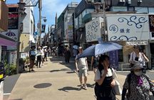 Kamakura and Enoshima Shared Walking Tour