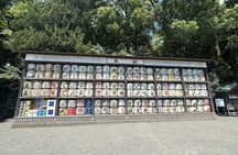 Kamakura and Enoshima Shared Walking Tour