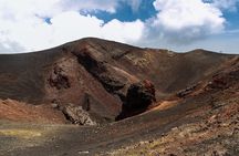 Lanzarote: Volcanic Landscape Horseback Riding Tour