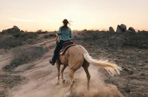Lanzarote: Volcanic Landscape Horseback Riding Tour