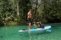 Pet Friendly Weeki Wachee Springs Guided Paddleboard Tour