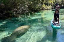 Guided Paddle and Photo Experience at Weeki Wachee Springs