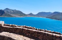 Cape Peninsula Shared Group Tour