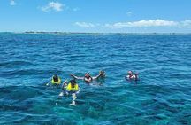 Aqua Adventures Boat Excursion Half Day