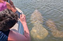Dolphin and Manatee Boat Tour from Cocoa Beach and Port Canaveral