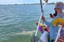 Dolphin and Manatee Boat Tour from Cocoa Beach and Port Canaveral