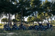 Quad Tour the Hidden Trails of Dalmatia from Zadar