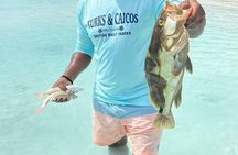 Aqua Adventures Boat Fishing Half Day