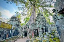 Private Angkor bicycle and Guided Temple Tour
