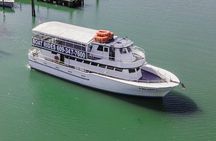 Dolphin Watching Adventure Cruise in Atlantic City