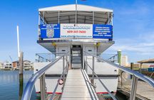 Dolphin Watching Adventure Cruise in Atlantic City