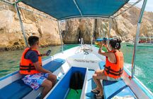 Whale Watching Cabo San Lucas