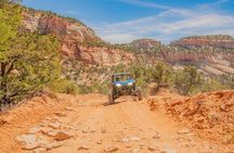Zion UTV Adventure! You Drive!! 4 Hr UTV Tour
