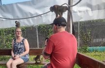 Monkey Paradise Experience and Puerto Plata City Tour