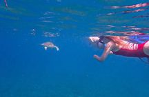 Shore Snorkeling