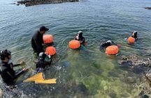 Jeju: Haenyeo Culture Experience with Seafood Tasting
