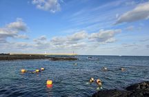 Jeju: Haenyeo Culture Experience with Seafood Tasting
