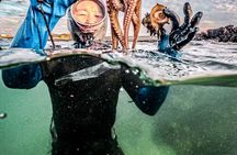 Jeju: Haenyeo Culture Experience with Seafood Tasting