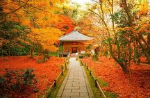 Matsushima: Scenic Bay Walk & Historic Temple Discovery