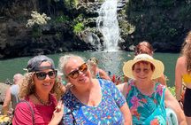 Private O'ahu Island Tour Waimea Waterfalls and Local Delights
