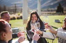 Queenstown: Afternoon Wine & Beer Tour with Platters