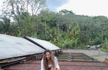 Discover Grenada Natural Beauty-Half Day Tour