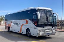 Pinnacles Desert, Koalas and Sandboarding 4WD Day Tour from Perth