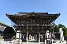 Narita: Shinshoji Temple Highlights Walk & Peace Pagoda