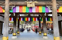 Narita: Shinshoji Temple Highlights Walk & Peace Pagoda