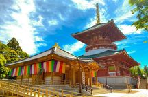 Narita: Shinshoji Temple Highlights Walk & Peace Pagoda