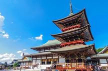 Narita: Shinshoji Temple Highlights Walk & Peace Pagoda