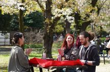 Tokyo Cherry Blossom Matcha Experience in Yoyogi Park (Shibuya)