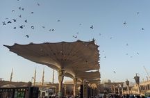 Private Guided Tour of Madinah Ziyarat