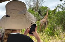 2 Days Zanzibar Escape Nyerere Safari Adventure Tour