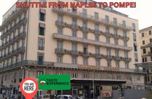 From Rome to Pompei: High-Speed Train, Guided Tour, Winery Lunch!