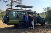 Private safari in Nairobi with elephants and giraffe centre