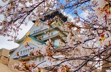 Osaka Castle & Temple Walking Tour with Multilingual Audio Guide