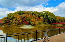 Osaka Castle & Temple Walking Tour with Multilingual Audio Guide