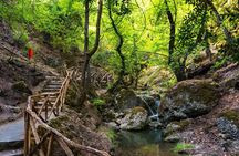 Private Half Day City and Beach Tour in Rhodes