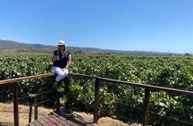 Private Wine Tour Excellence Boutique in Casablanca