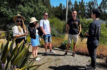 Private Wine Tour Excellence Boutique in Casablanca