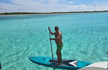 Cozumel Catamaran Cruise to El Cielo or Passion Island Beach